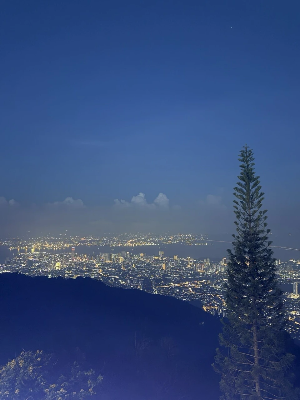 ペナンヒルから見たジョージタウンの夜景と針葉樹のシルエット