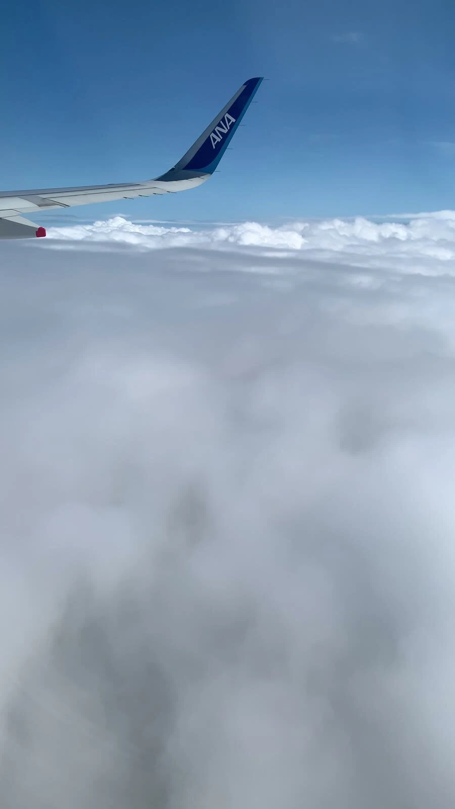 NH22の機窓。ANAのウィングレットと、一面の雲の上の青空