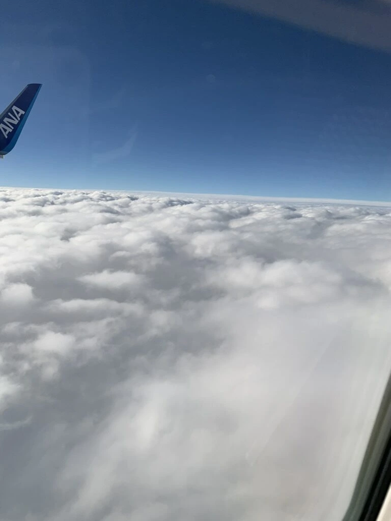 大館能代空港を出たANA NH722の機窓。主翼の先と、一面に広がる雲の上の青空