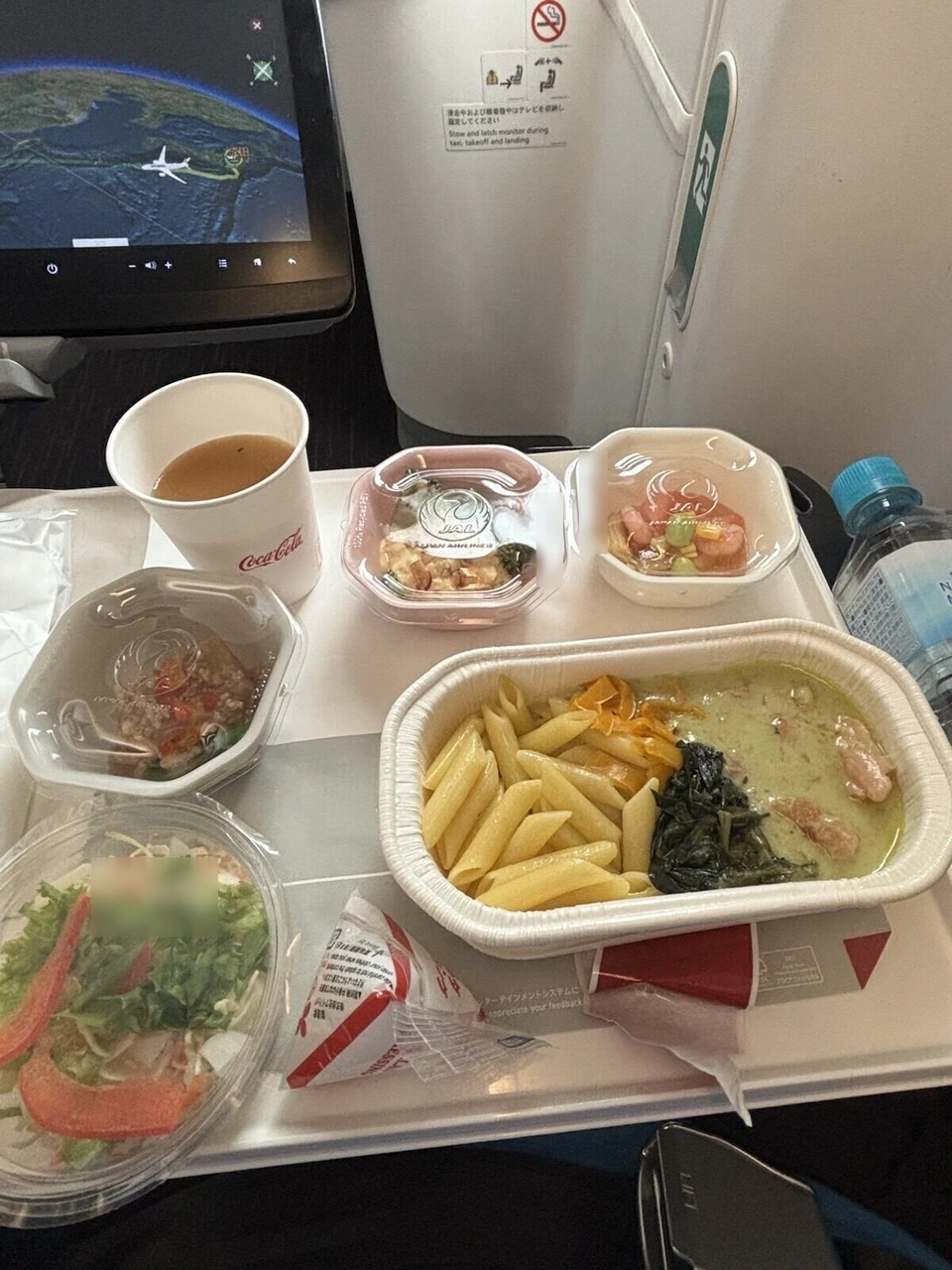 JL723エコノミーの機内食。緑色のソースのペンネ、サラダ、小鉢2つ、温かい飲み物、前の画面に飛行ルートの地図