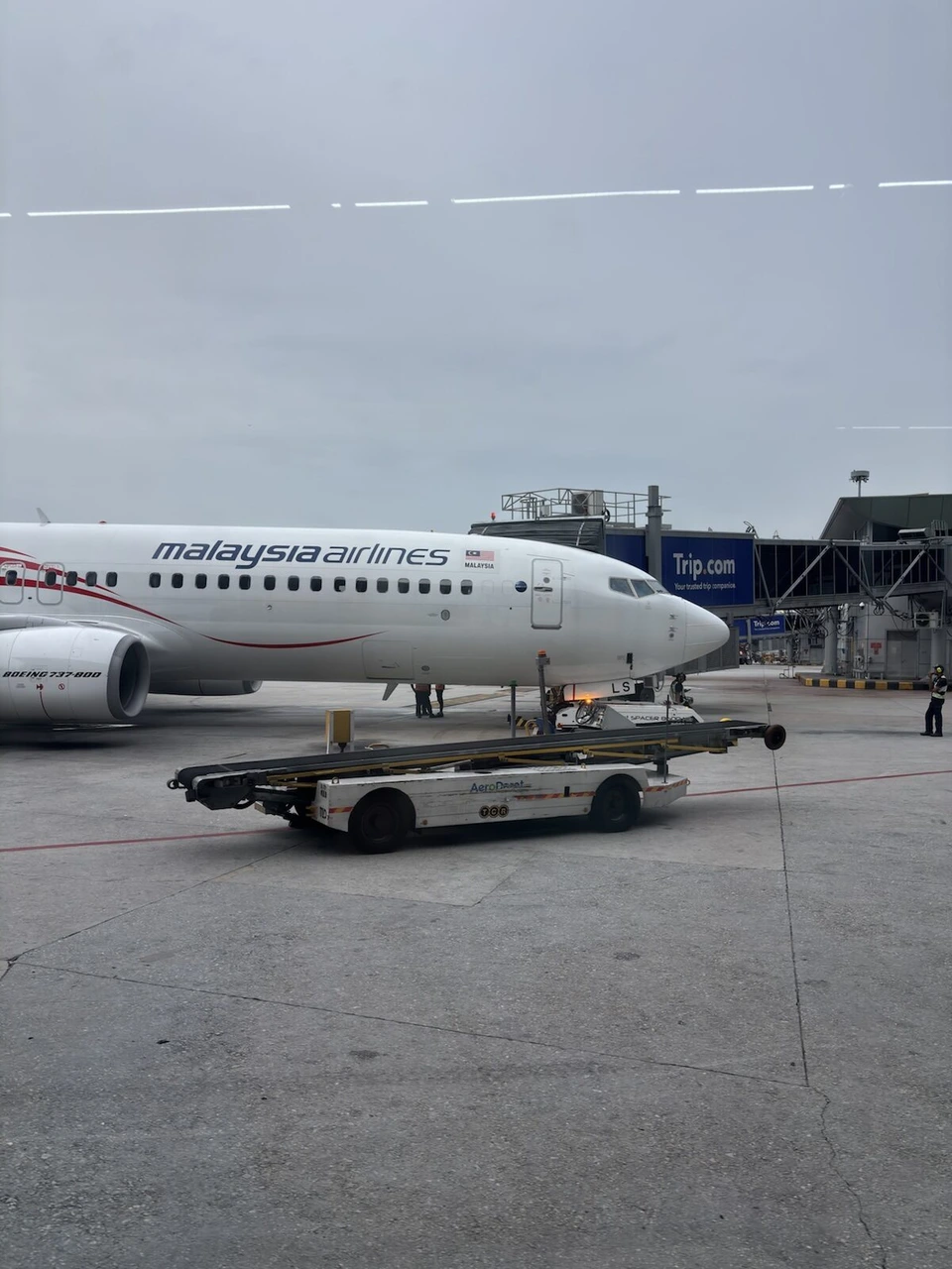 クアラルンプール国際空港の地上で、マレーシア航空の機体と荷物を運ぶ車両