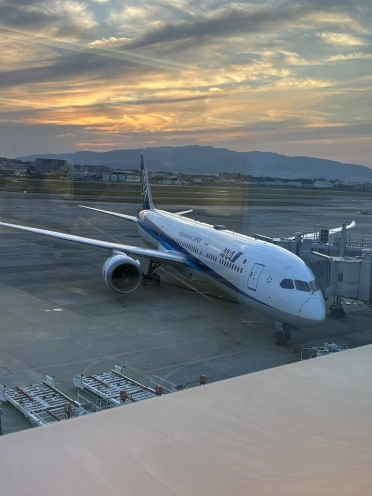 夕焼けの伊丹空港で搭乗橋につながったANAのボーイング787