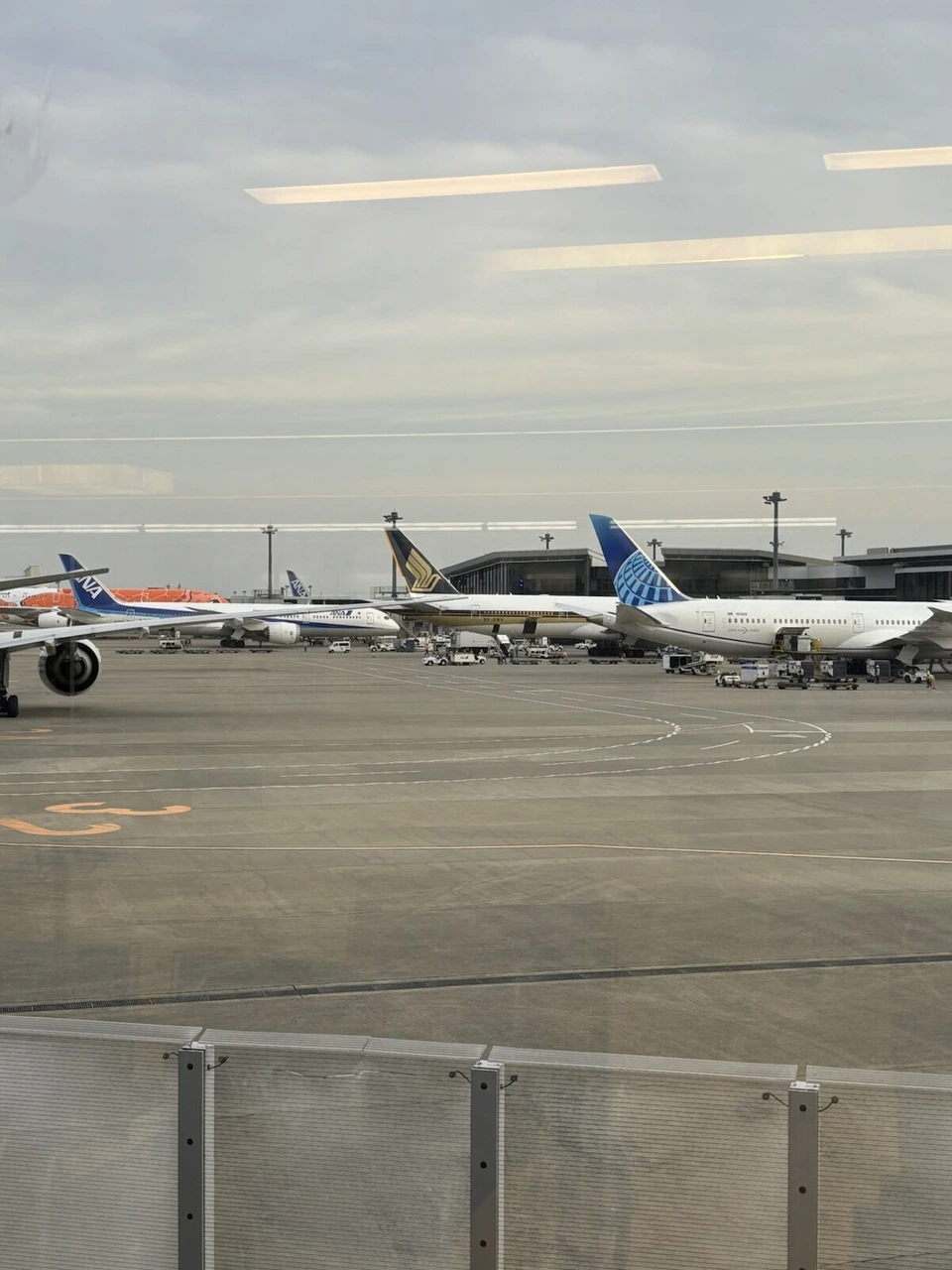 成田空港の駐機場。ANAやシンガポール航空、ユナイテッド航空の機体