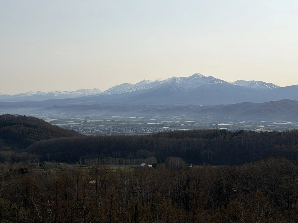 熱気球の上から見た、朝の森の向こうに広がる富良野盆地と、雪の残る十勝岳連峰