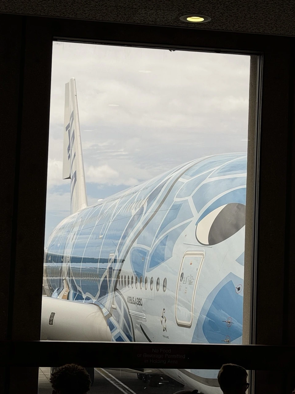 ホノルル空港の窓の向こうに見える、ウミガメの絵のANAのエアバスA380