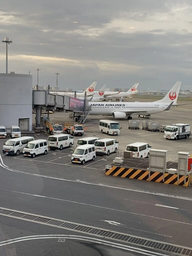 朝の羽田空港。ボーディングブリッジにつながるJAL機と、並んだ地上作業車