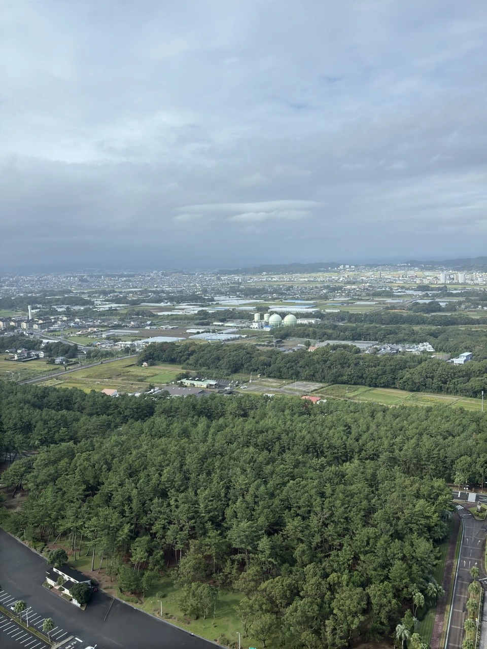シェラトン・グランデ・オーシャンリゾートの高層階から見下ろした松林と、その先に広がる街