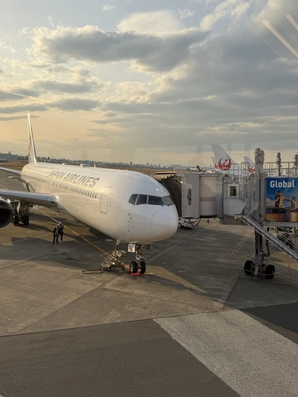 夕方の羽田空港で搭乗橋につながるJALのボーイング767