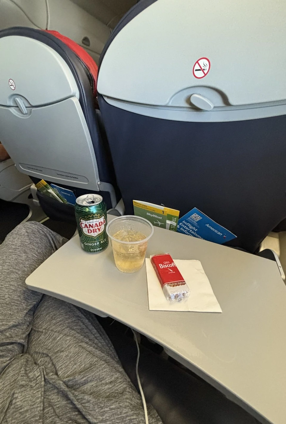 アメリカン航空の国内線の機内。座席のテーブルに缶のジンジャーエールとカップ、小袋のビスケット