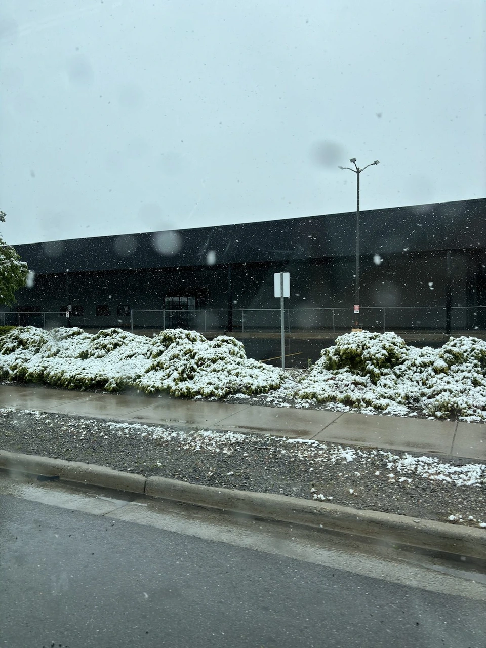 車の窓から見た、雪が積もった植え込みと黒い建物。雪がまだ降っている