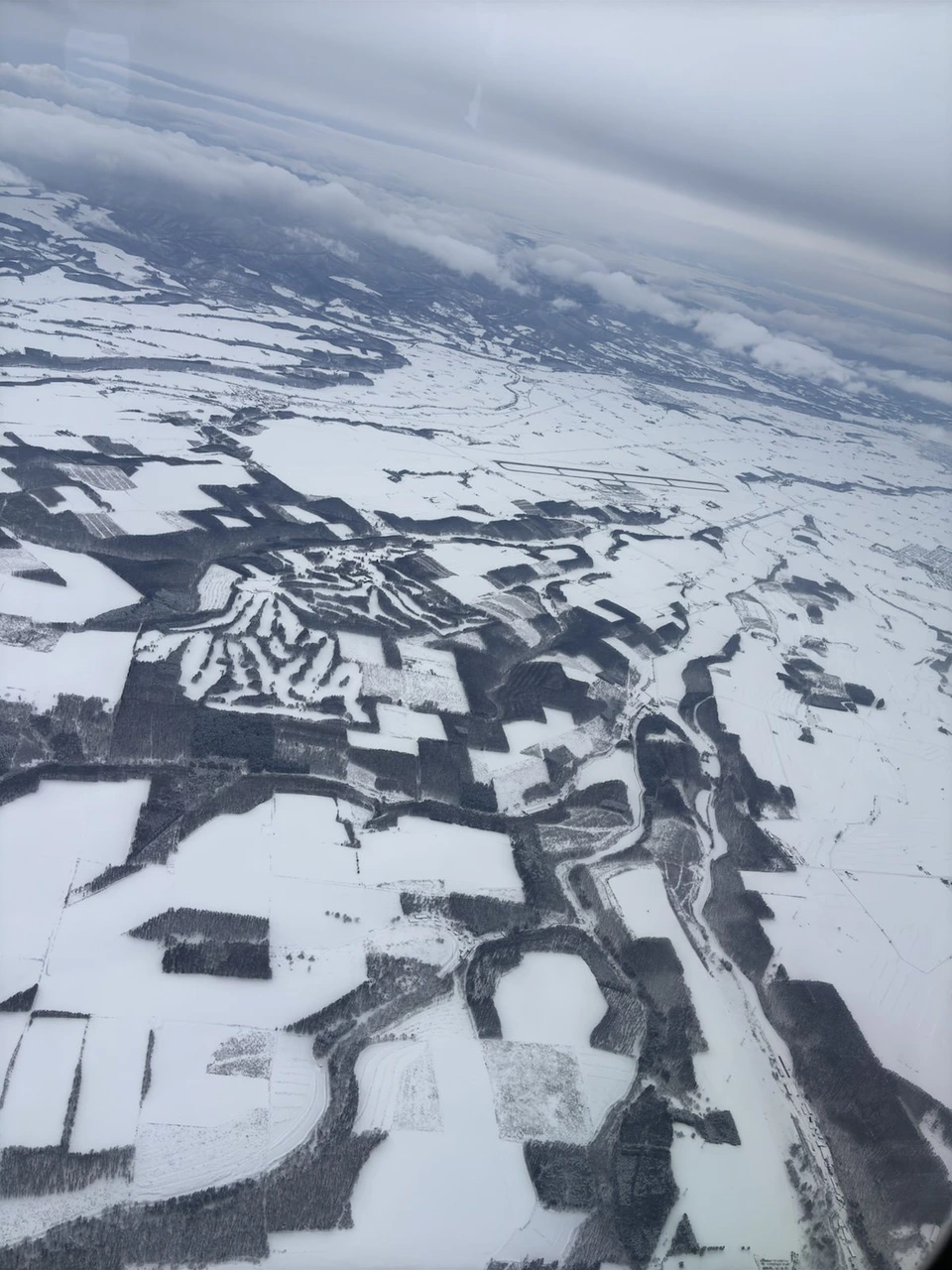離陸直後の機内の窓から見た、雪で真っ白な畑と林。四角い畑の区切りが模様のように見える
