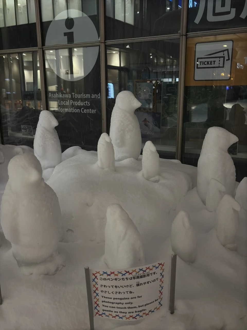 旭川観光物産情報センターのガラスの前に並ぶ、雪で作ったペンギンの像。手前に写真撮影用と書かれた案内板
