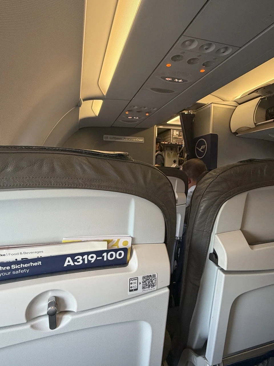 ルフトハンザの機内。座席ポケットのA319-100のシール