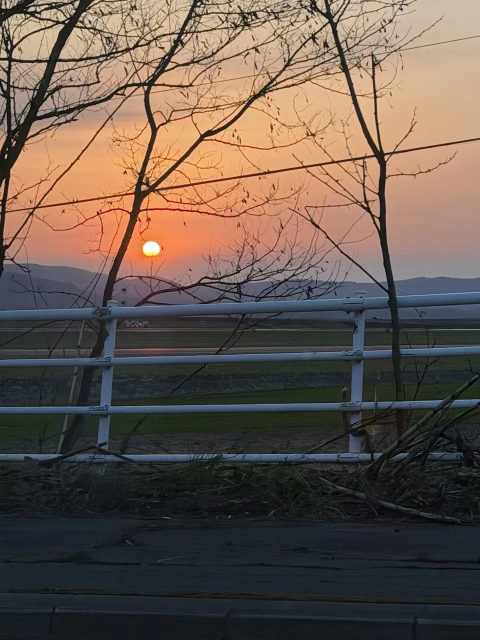 旭川空港近くで枝の向こうに沈む夕日と、オレンジ色の空、柵の手前の道路