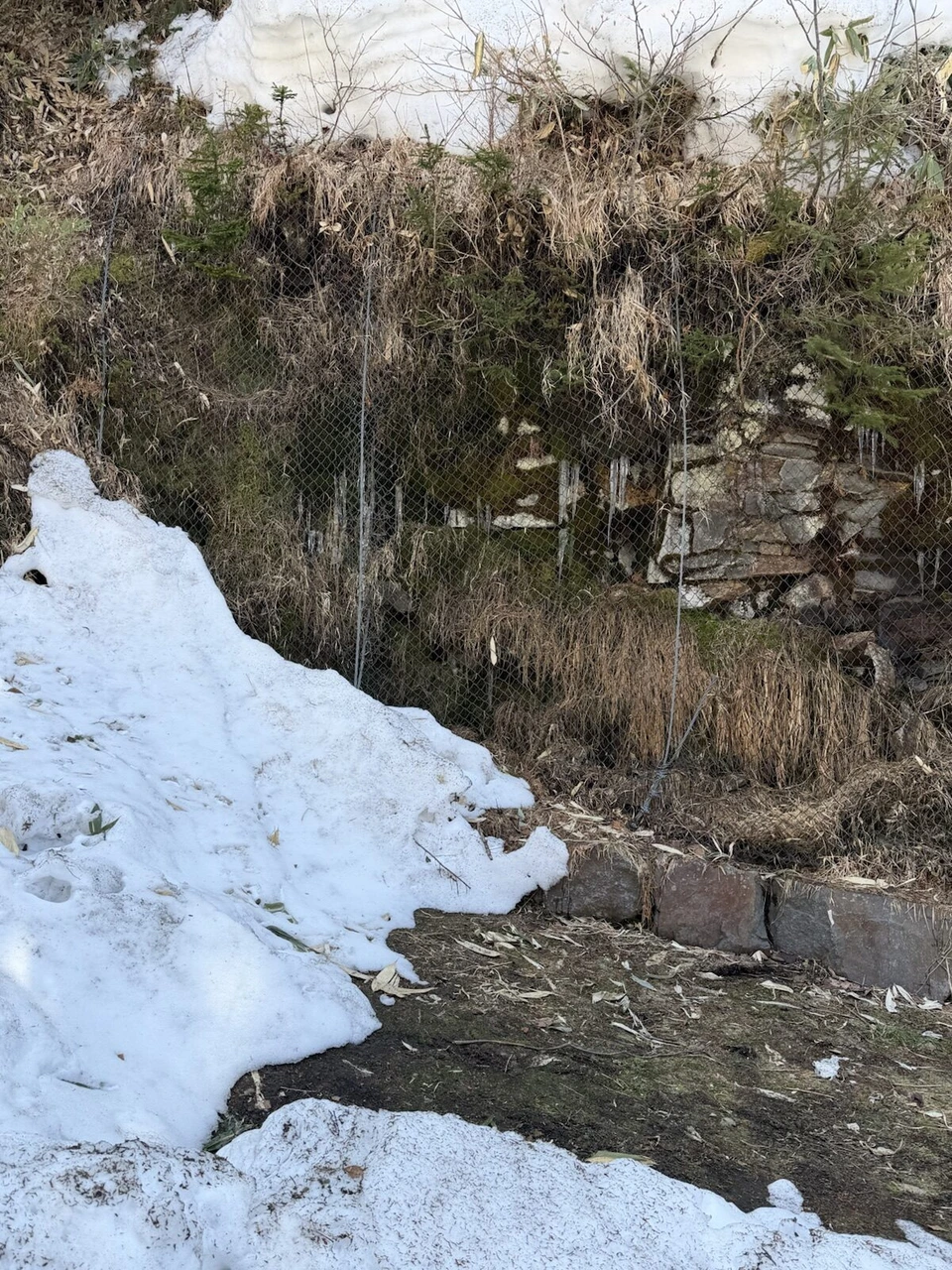 吹上温泉近くの雪の塊と、岩肌にネットが張られた崖