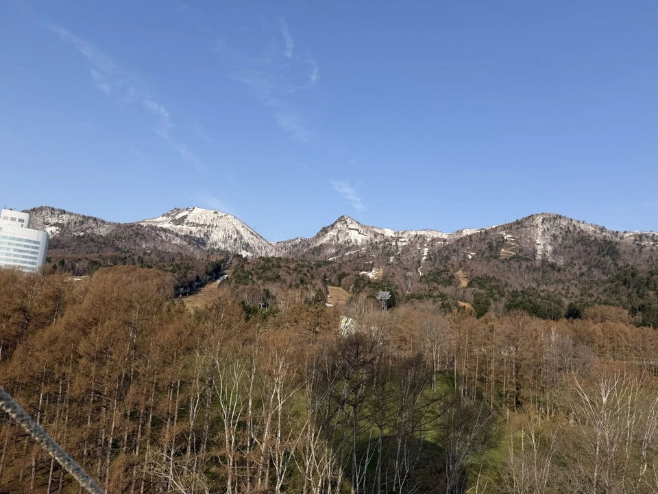熱気球の上から見た、カラマツ林と雪の残る山、左にホテルの建物