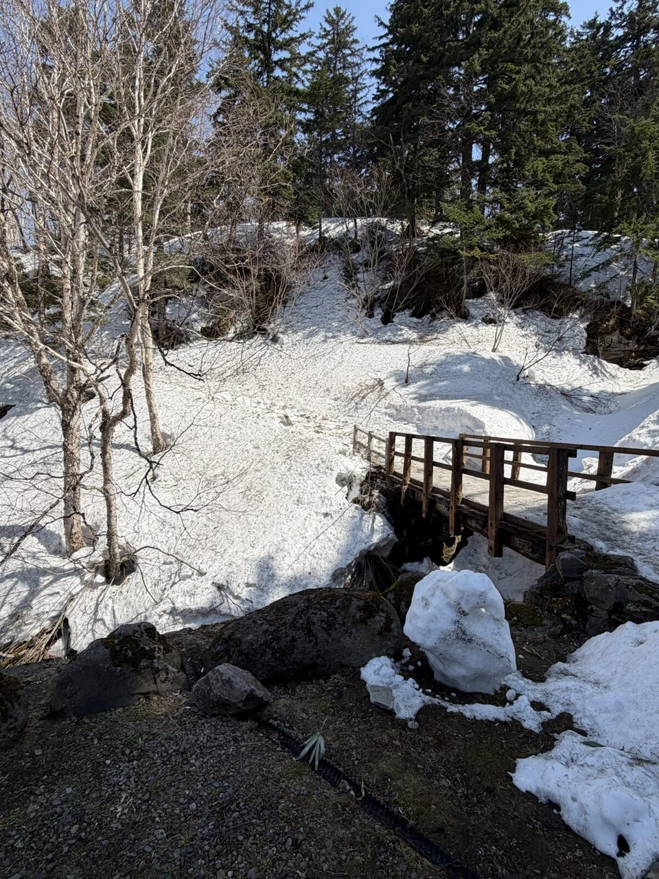 上富良野・吹上温泉近くの雪に埋もれた木の橋