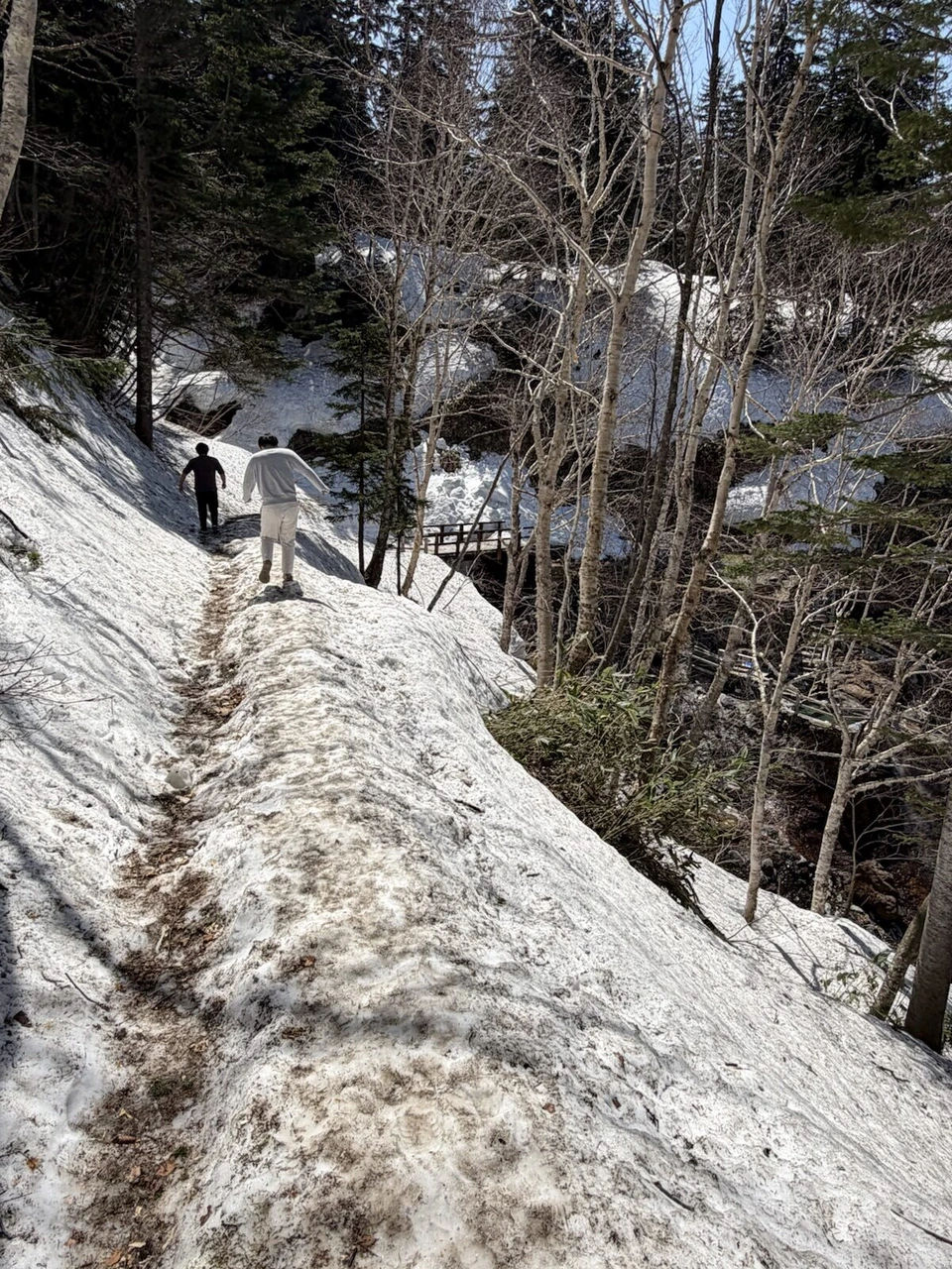 雪の小道を下っていく2人の後ろ姿