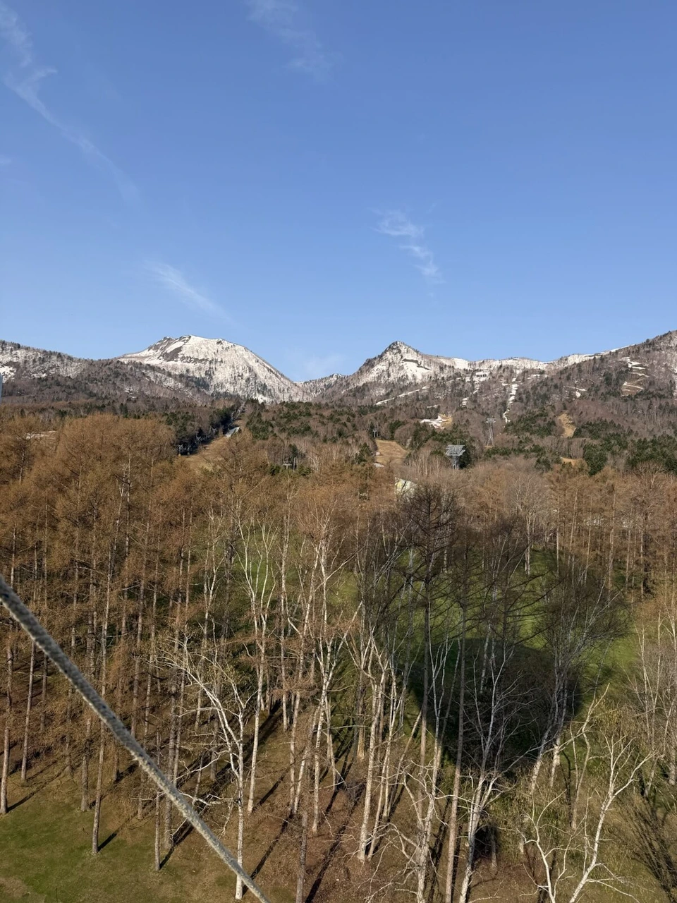 熱気球から見た白樺林と雪の残る山の稜線、係留ロープ