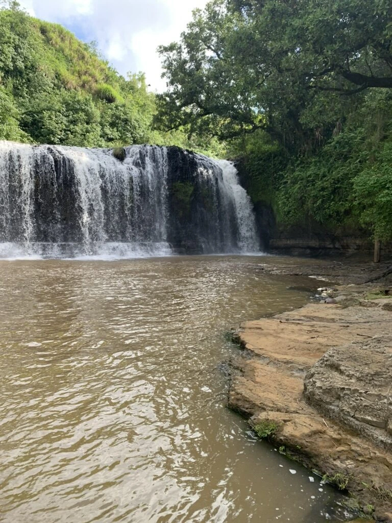 岩場の手前から見たタロフォフォの滝と、滝つぼの茶色い水