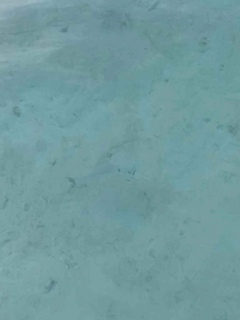 タモン湾の足元の透き通った海水と白い砂