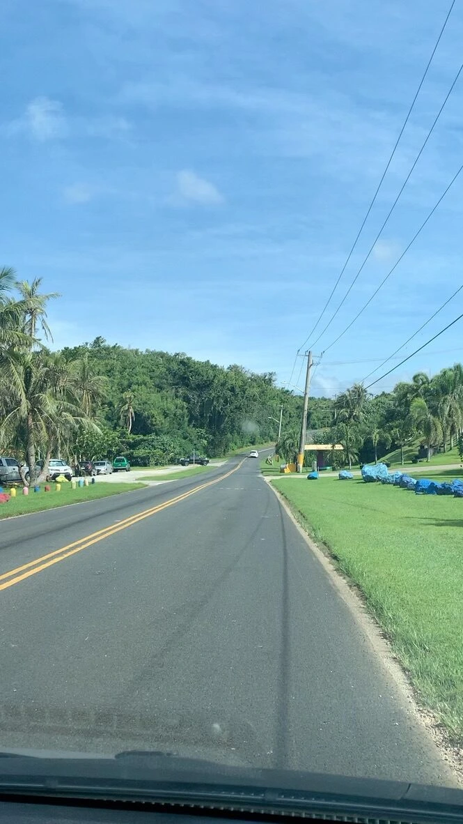 グアム南部の、ヤシの木と電柱が並ぶまっすぐな道路