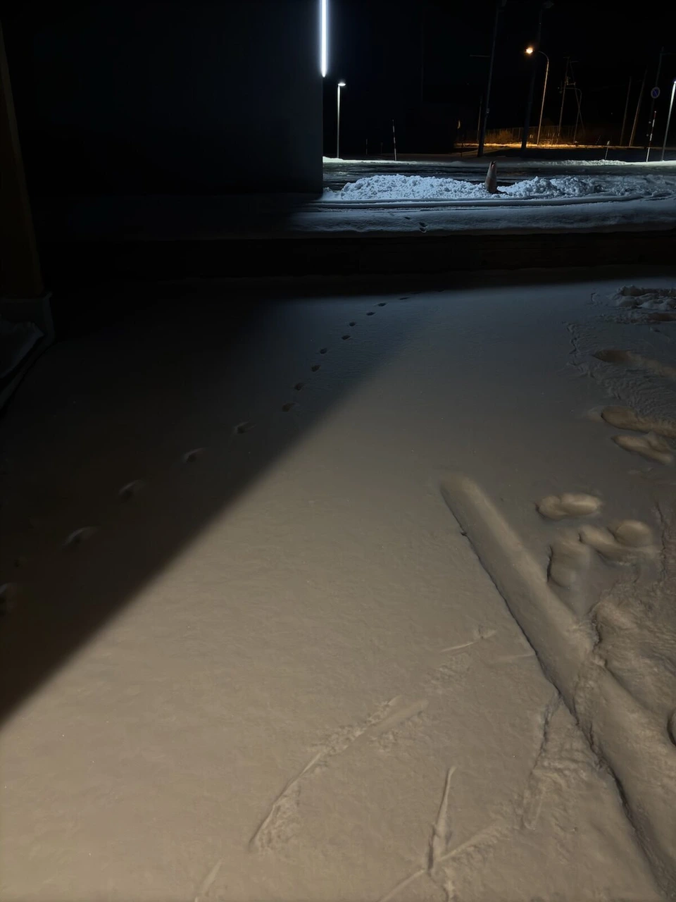 千歳の夜の雪道。街灯に照らされた新雪の上に足あとが続いている