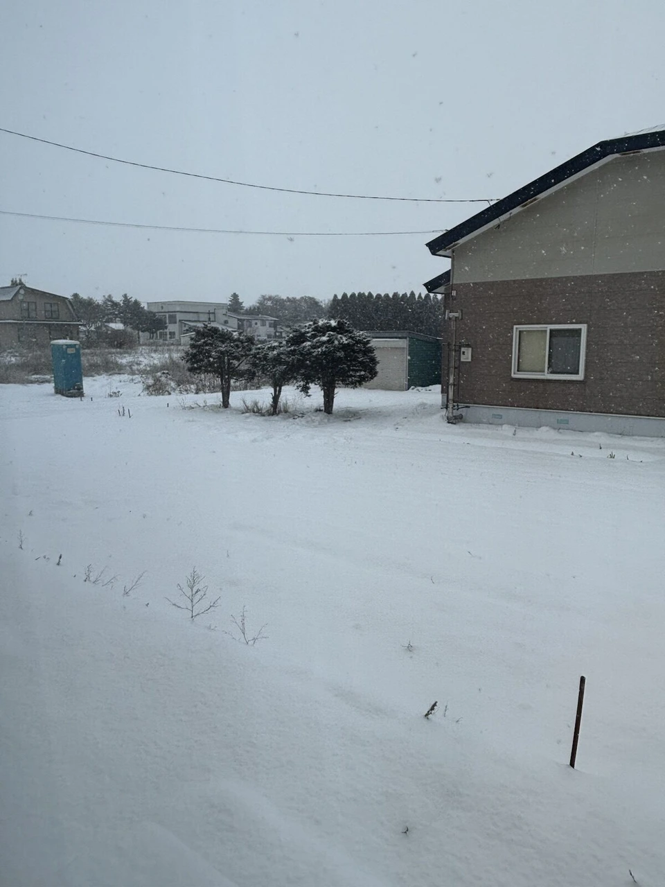 千歳近くの雪が降る朝。一面の雪原と、雪をかぶった低い木、奥に住宅