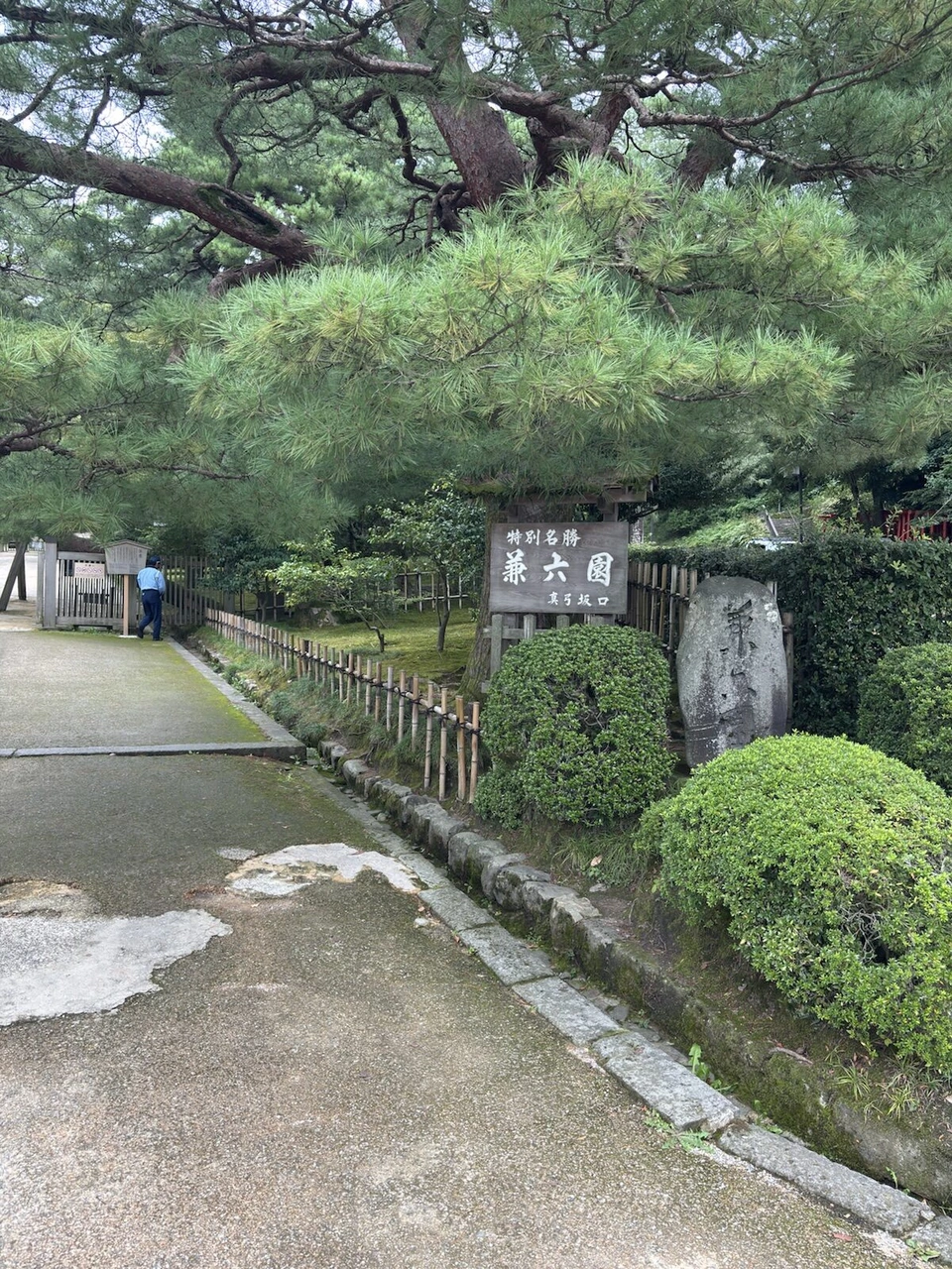 大きな松の木の下にある、特別名勝兼六園と書かれた木の看板と入口