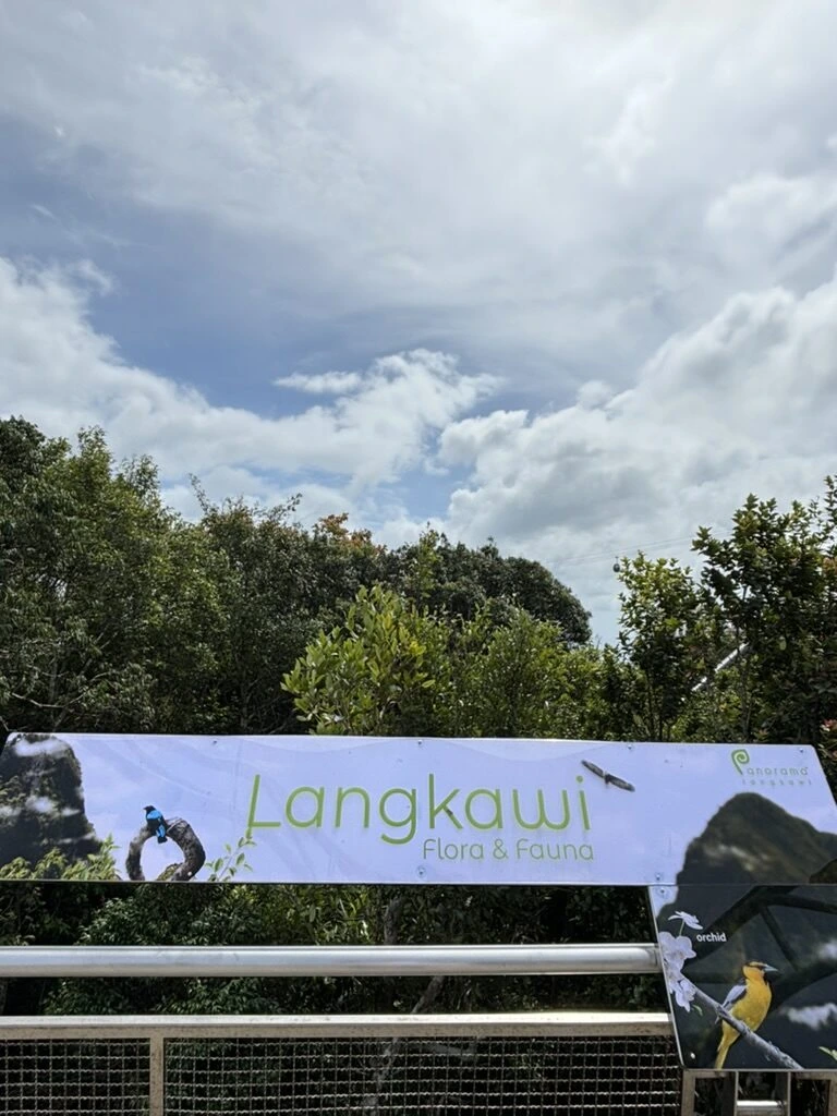 マチンチャン山のLangkawi Flora & Faunaの看板と森