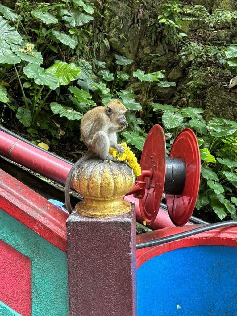 バトゥ洞窟の階段の手すりの飾りの上に乗るサル