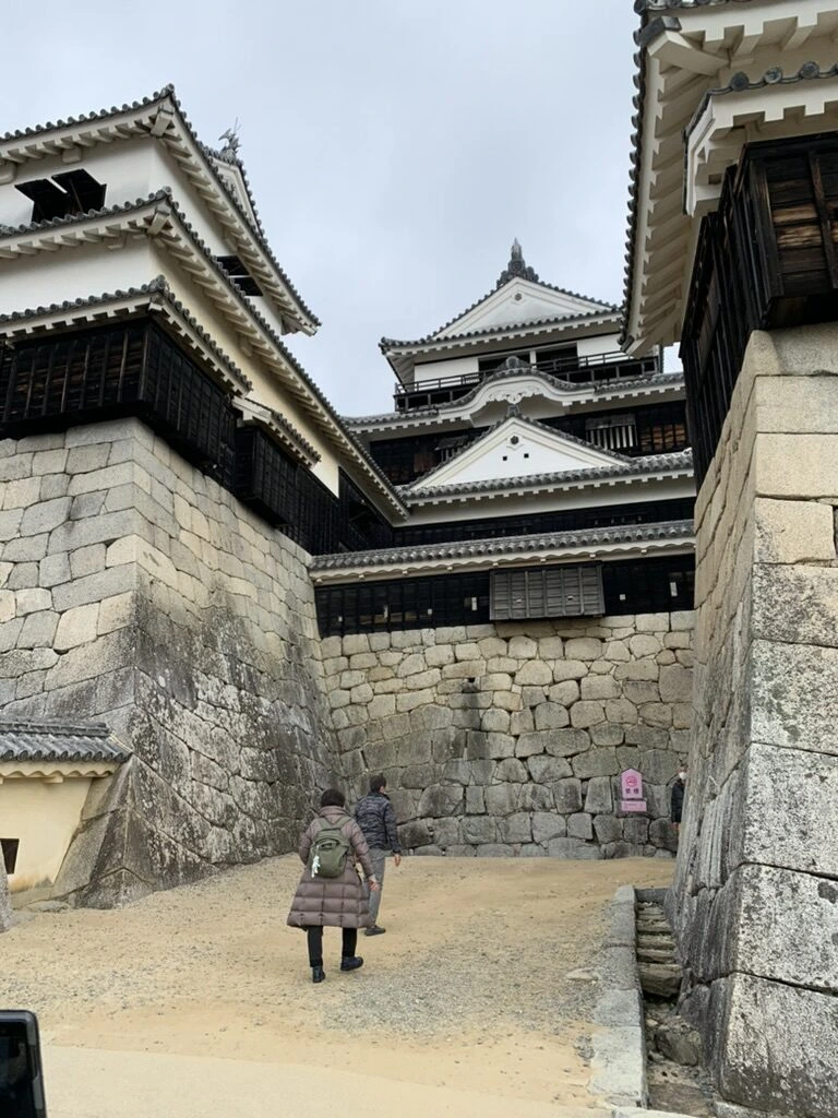 石垣と白壁に囲まれた松山城の天守群。歩いていく観光客の後ろ姿