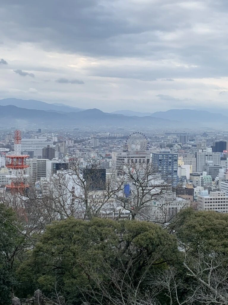 曇り空の下に広がる松山市街と遠くの山並み
