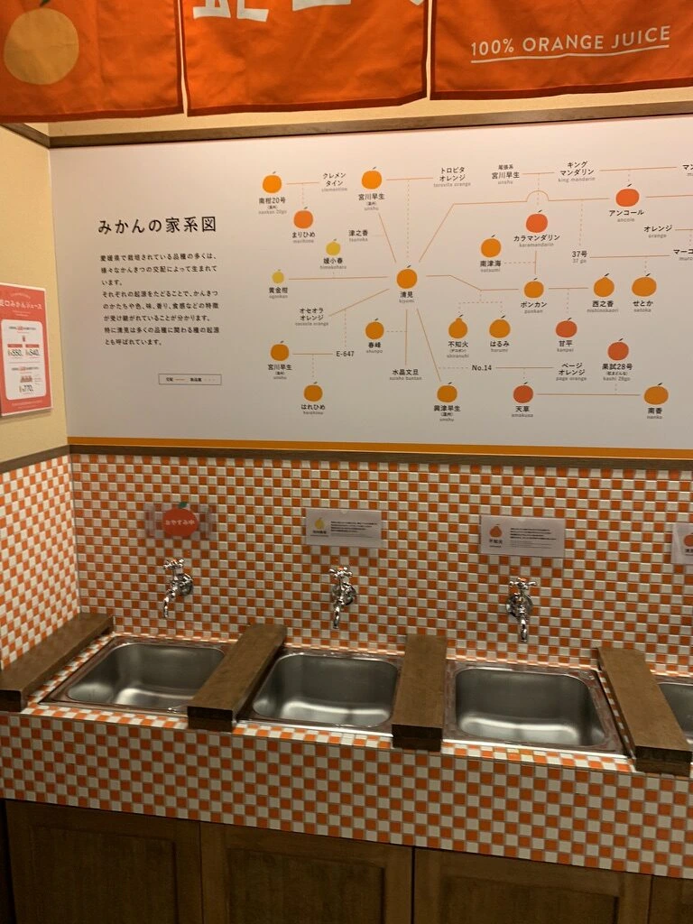 壁の「みかんの家系図」と、その下に並ぶ3つの蛇口とシンク