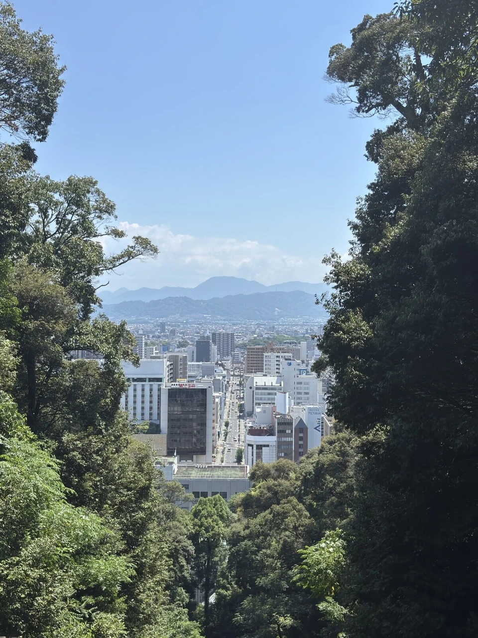 松山城の山の木々の間から見下ろした松山市街のまっすぐな通りと、奥の山並み