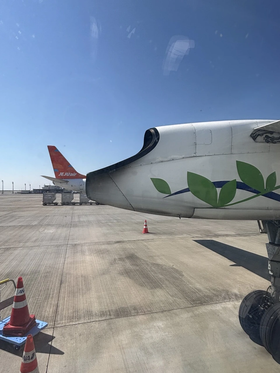 Q400の窓から見たエンジンカバーの葉っぱの模様と、奥に駐機中のチェジュ航空機