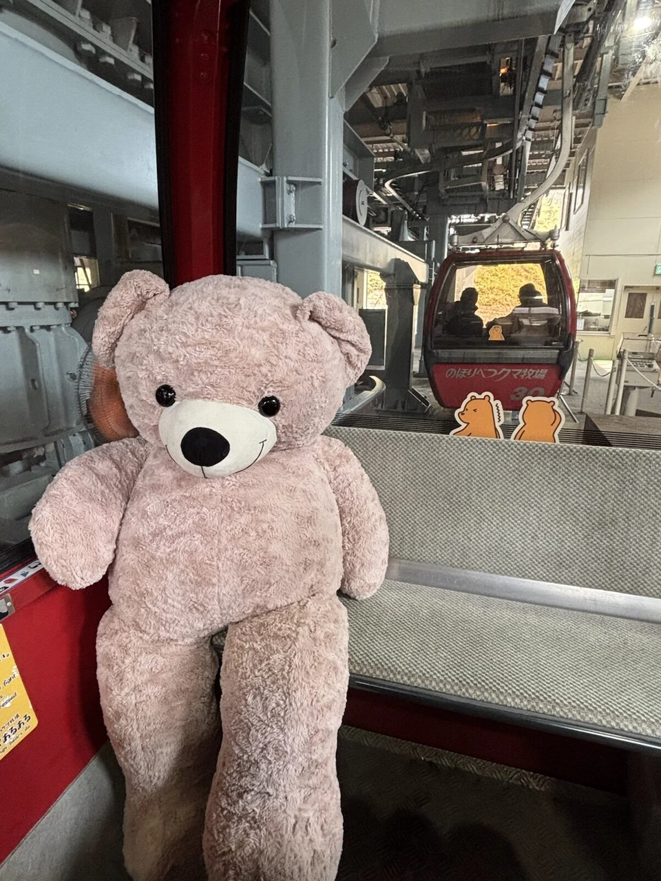 ロープウェイのゴンドラの中に置かれたピンクのクマのぬいぐるみ
