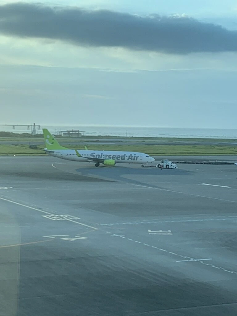 那覇空港を走るソラシドエアの737