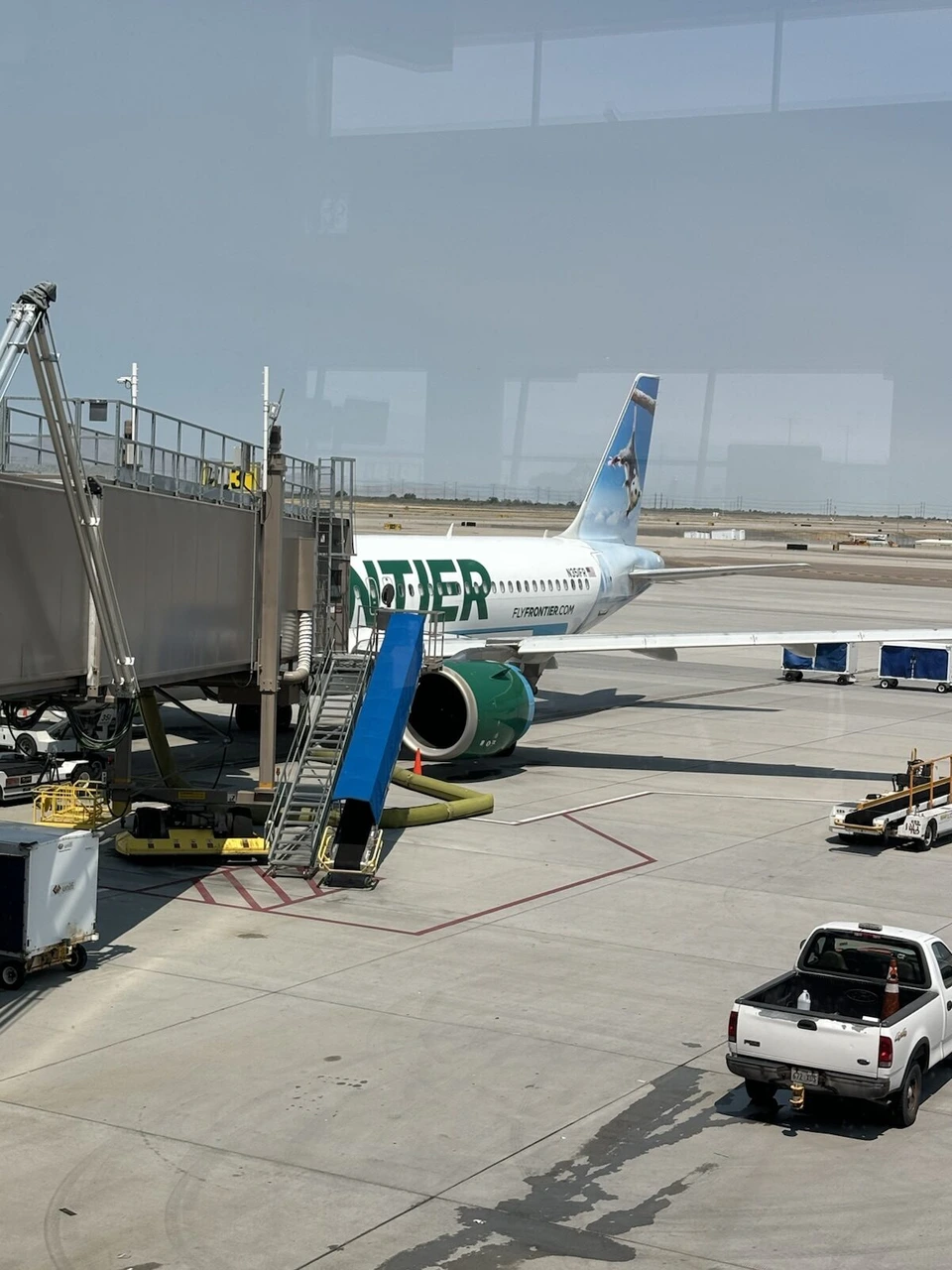 ゲートの窓から見たフロンティア航空のA320neo。緑の尾翼に動物の絵