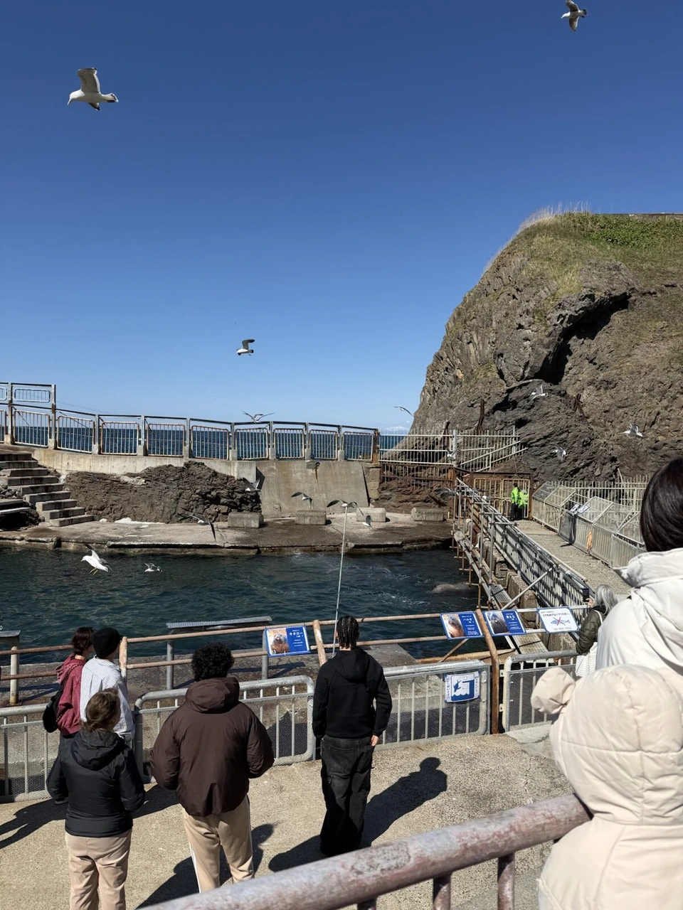 おたる水族館の海に面した屋外プールと、柵の前で見ている人たちの後ろ姿