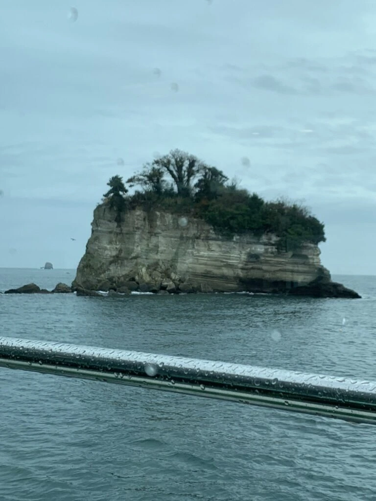 松島湾の、白っぽい地層がしま模様に見える崖の島