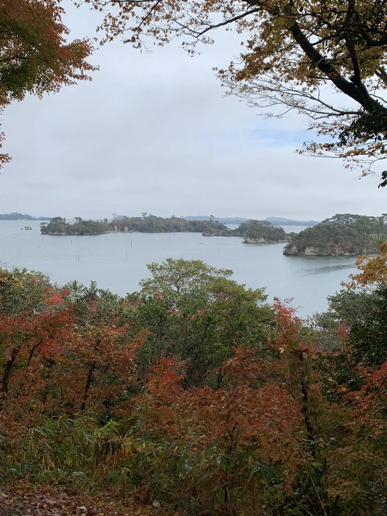 福浦島の紅葉の間から見た松島湾の島々