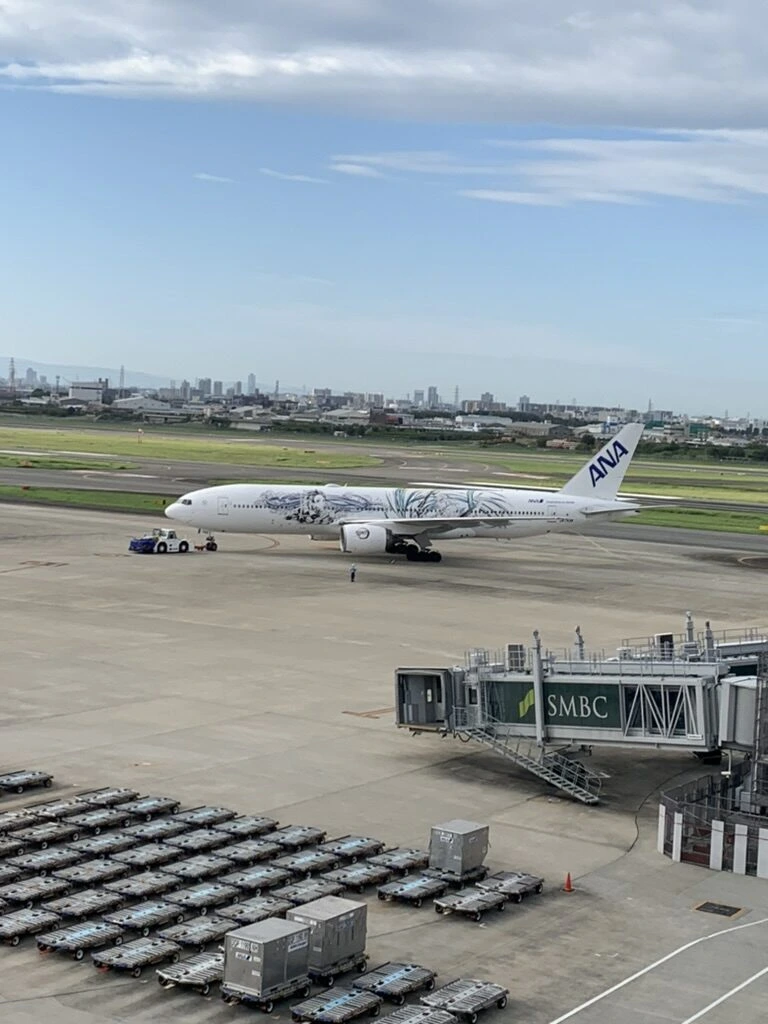 伊丹空港で滑走路へ向かうANAの白い特別塗装機