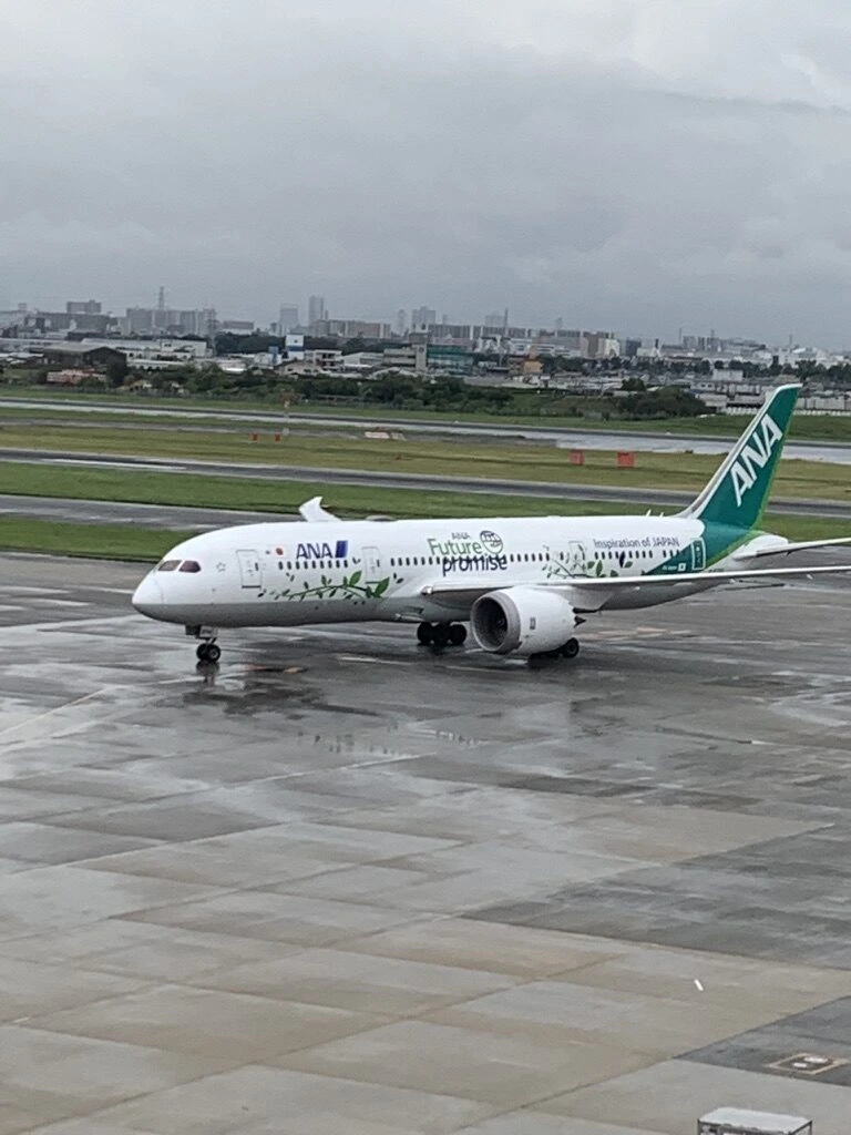雨上がりの伊丹空港を走る、緑の尾翼のANAの787特別塗装機